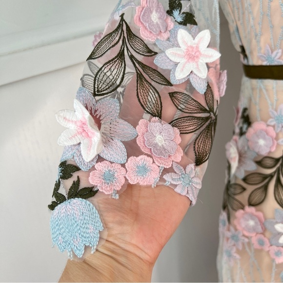 Anthropologie Foxiedox Floral Appliqué Fit and Flare Mini Dress - Picture 8 of 16